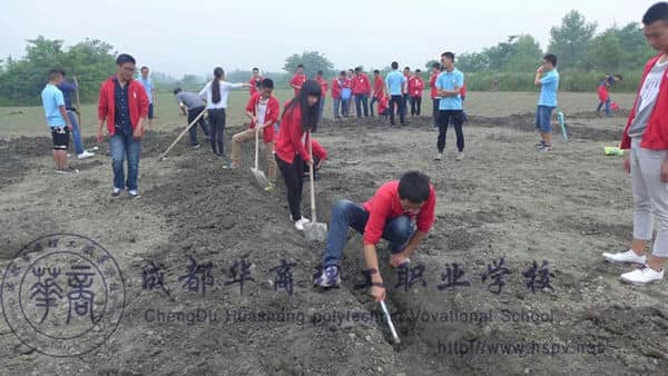 四川职校中特有的学校农场，记录大家的欢笑~