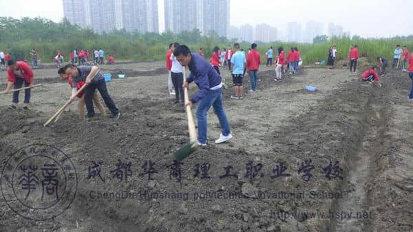 四川职校中特有的学校农场，记录大家的欢笑~