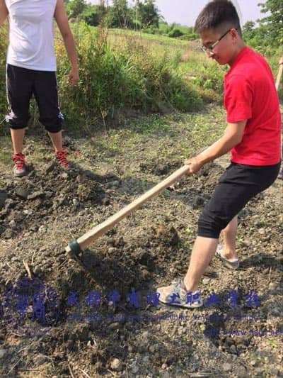 四川职校中特有的学校农场，记录大家的欢笑~